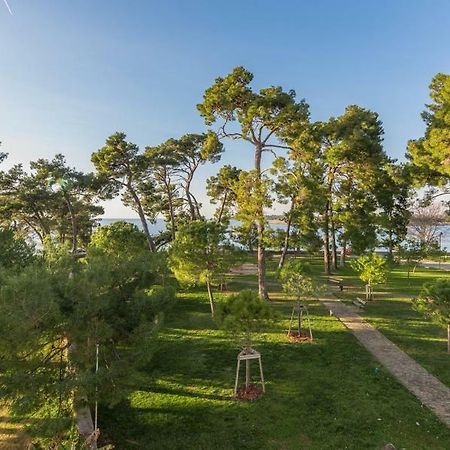 Apartment Hannah Novigrad  Bagian luar foto