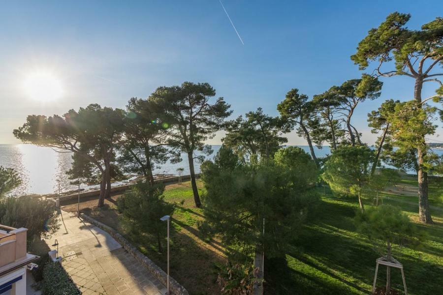 Apartment Hannah Novigrad  Bagian luar foto