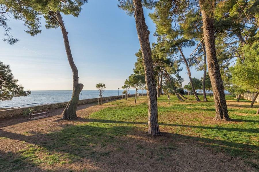 Apartment Hannah Novigrad  Bagian luar foto